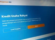 Hingga Agustus 2024, BRI Salurkan Rp 1,68 Triliun KUR di NTT