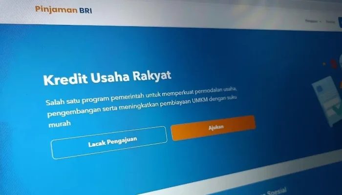 Hingga Agustus 2024, BRI Salurkan Rp 1,68 Triliun KUR di NTT