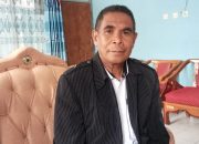 Kapasitas Terminal Mini, Parkir Liar Merajalela di Kota Soe