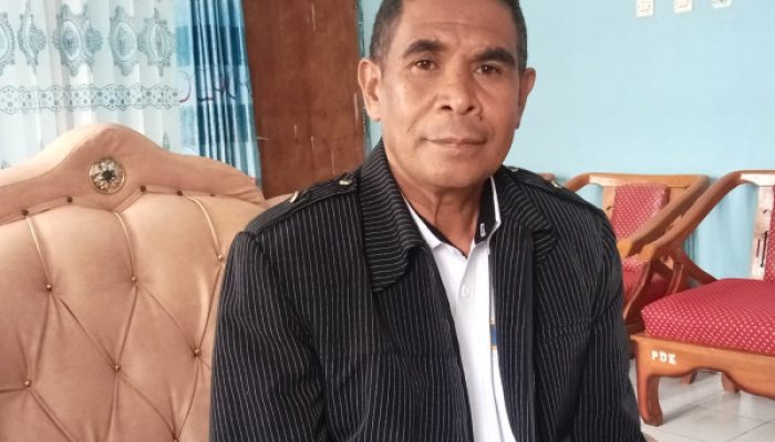 Kapasitas Terminal Mini, Parkir Liar Merajalela di Kota Soe