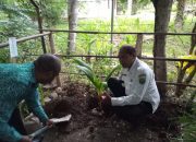 Woow Unik! Kelapa di Kusa Diberi Nama SBS, Bukti Cinta Warga untuk Bupati Malaka