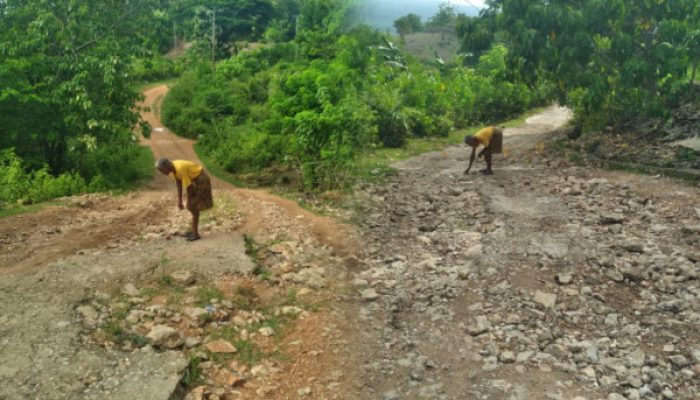 Jalan Tikus di Negeri Merdeka: Jeritan Warga Desa Lobus