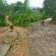 jalan-tikus-di-negeri-merdeka-jeritan-warga-desa-lobus