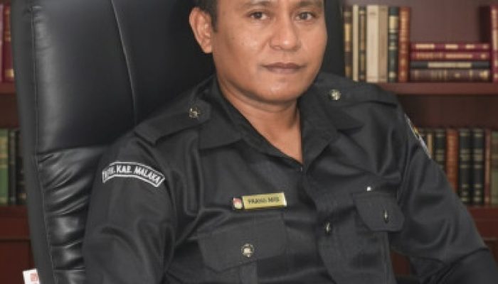 Demokrasi di Bawah Algoritma: Ketika Pemilu Dikuasai Medan Digital