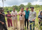 Menanam di Hutan Wemer, Benni Chandra dan Warga Hijaukan Alam di HUT Gerindra