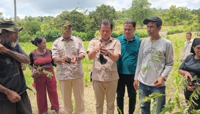 Menanam di Hutan Wemer, Benni Chandra dan Warga Hijaukan Alam di HUT Gerindra