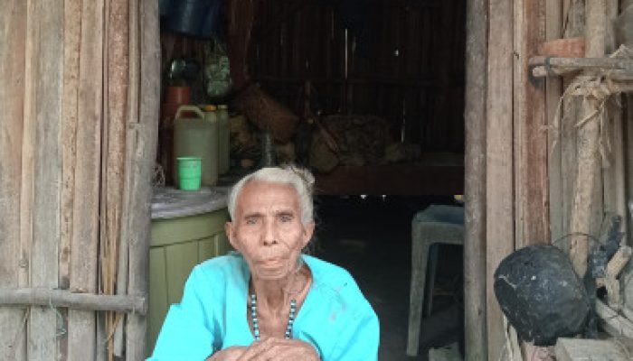 BREAKING NEWS:Nenek Janda Tua di Wewiku Masih Bertahan di Gubuk Reyot Bersama Dua Anaknya
