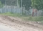 Aktivitas Keluar Masuk Kendaraan Pengangkut Material di Umasukaer Dikeluhkan Pengendara