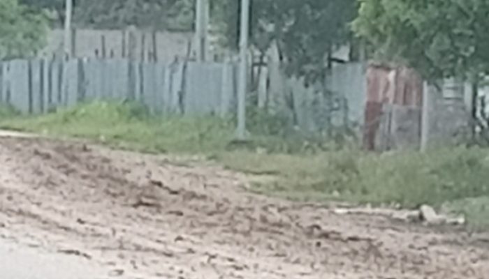 Aktivitas Keluar Masuk Kendaraan Pengangkut Material di Umasukaer Dikeluhkan Pengendara