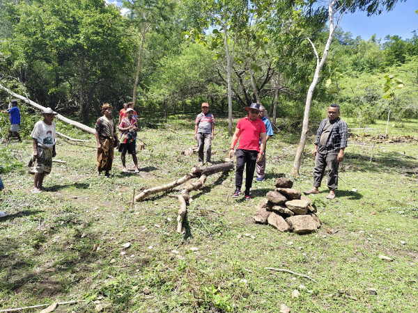 Ronaldo Asury Hadir Bersama Masyarakat Nekto Bangun Ruang Darurat SD Jarak Jauh Ninma-Nekto