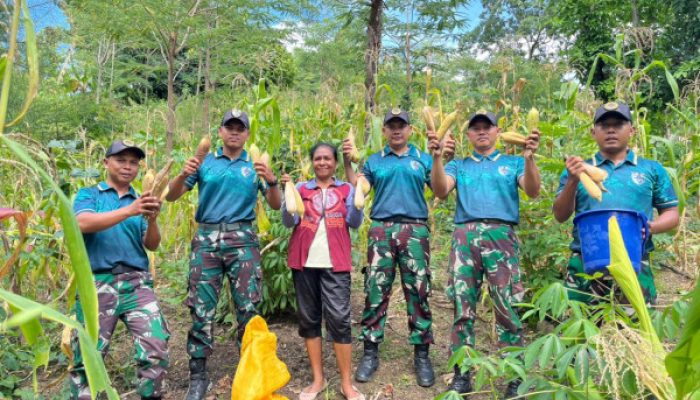TNI di Perbatasan Tancap Gas, Bantu Warga Tanpa Henti dari Ladang hingga Pintu Rumah