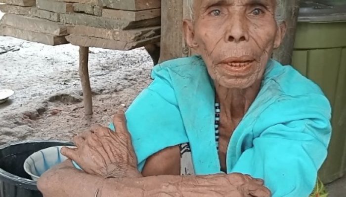 Potret Pilu Kemiskinan di NTT: Nenek Lansia di Malaka Masih Tinggal di Rumah Reyot
