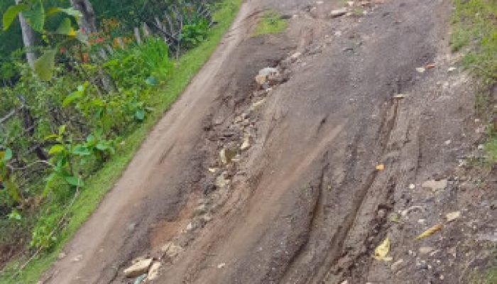 Akses Jalan Menuju SMAK St. Agustinus Raimanuk Memprihatinkan, Warga: 81 Tahun Merdeka Kami Masih Rasakan “Neraka” Saat Hujan