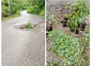 Alarm Bahaya di Jalan Teun: Rusak Parah dan Terancam Ambruk