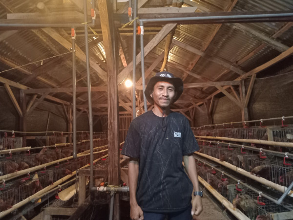 Woow! BUMDes Leunklot Produksi Telur 300 Butir per Hari, Jadi Contoh Desa Lain