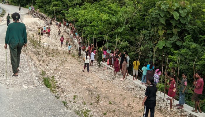 Langkah Kecil, Dampak Besar: Anak-anak SDK Lotas Tanam Pohon untuk Cegah Longsor
