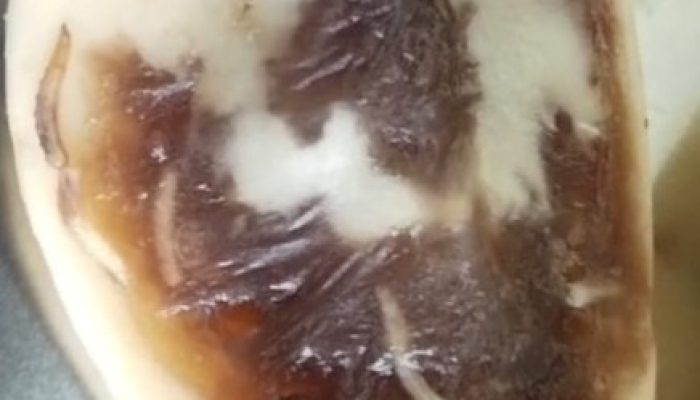 Salak Busuk di Piring Anak PAUD: Bukan Hanya Buahnya, Sistemnya Juga Perlu Diperiksa