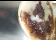 Miris!Buah Salak Berulat di PAUD Pelita Jaya Naimana, Program MBG Malaka Bikin Publik Kecewa