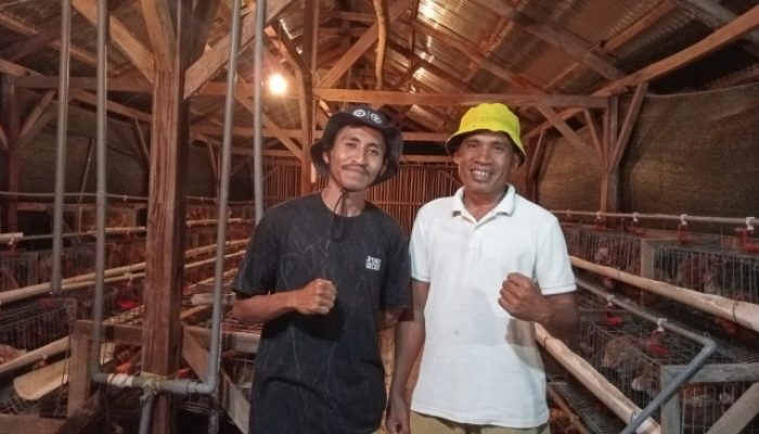 Kades Yulius Leki Seran, Pionir Kesuksesan BUMDes Ayam Petelur Leunklot