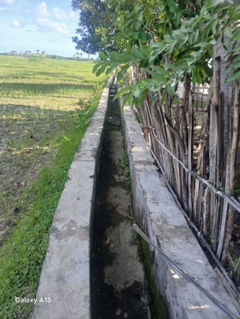 Irigasi Mati di Trans Kada, Petani Terancam Gagal Panen MT1, Pemerintah Diminta Turun Tangan