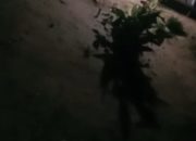 Bentrok Warga di Dusun Obasan Memanas, Rumah Rusak – Kadus Fransiskus Soares: Polisi Sektor Raimanuk Sudah Dihubungi Tapi Belum Datang.