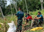 Saat Umat Rayakan Paskah, TNI Yonarmed 12 Tetap Mengabdi dengan Memanen Jagung Warga di Perbatasan Malaka