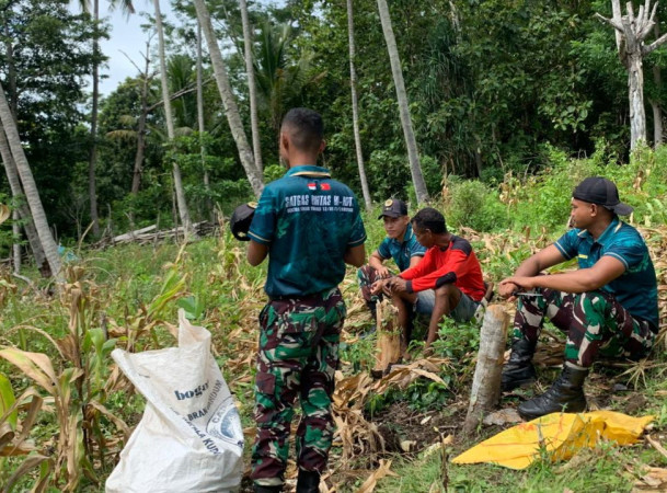 Saat Umat Rayakan Paskah, TNI Yonarmed 12 Tetap Mengabdi dengan Memanen Jagung Warga di Perbatasan Malaka