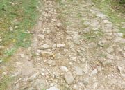 Di Ujung Negeri yang Terlupakan, Jeritan Warga Nekto Menanti Cahaya Pembangunan