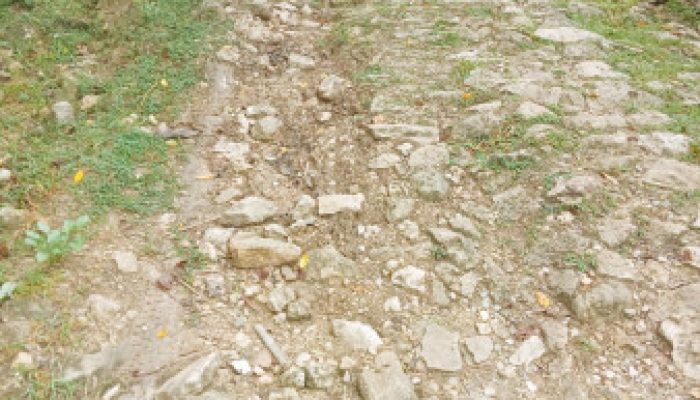 Di Ujung Negeri yang Terlupakan, Jeritan Warga Nekto Menanti Cahaya Pembangunan