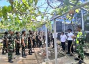 Sinergi TNI dan Unhan: Babinsa Silawan Latih Kadet Budidaya Anggur di Green House Atambua