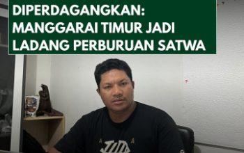 Komodo Diperdagangkan, Negara Kecolongan: Manggarai Timur Disorot Jadi Ladang Perburuan Satwa Dilindungi
