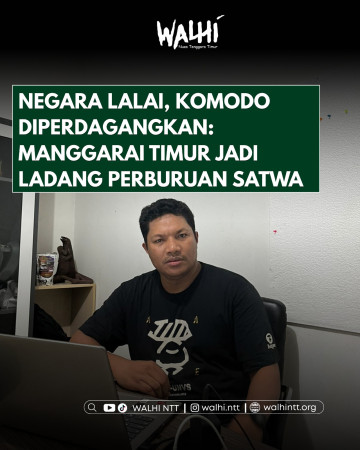 Komodo Diperdagangkan, Negara Kecolongan: Manggarai Timur Disorot Jadi Ladang Perburuan Satwa Dilindungi