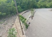 Jalan Nyaris Putus, Longsor di Haeklese Ancam Keselamatan Pengendara