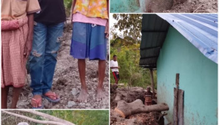 Pasangan Lansia di Lamaknen Berjuang Sendiri Hadapi Longsor, Minta Perhatian Pemerintah