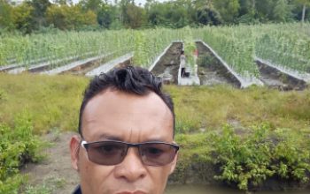 BUMDes Bitou Desa Uabau Terus Bergerak dan Berkembang, Kades Agustinus Tere: Motor Penggerak Ekonomi Masyarakat