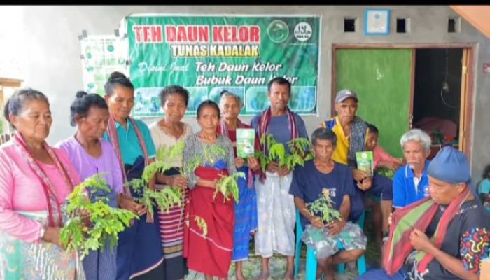 Dari Desa Haliklaran, Kelompok Tani Tunas Kadalak Terus Kembangkan Produk Kelor, Harapkan Dukungan Pemerintah Desa dan Pemda