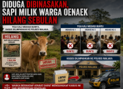 Diduga Dibinasakan, Sapi Milik Warga Oenaek Hilang Sebulan, Tiga Kali Mediasi Buntu, Kasus Dilimpahkan ke Polres Malaka 10 Diduga Dibinasakan, Sapi Milik Warga Oenaek Hilang Sebulan, Tiga Kali Mediasi Buntu, Kasus Dilimpahkan ke Polres Malaka