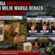 Diduga Dibinasakan, Sapi Milik Warga Oenaek Hilang Sebulan, Tiga Kali Mediasi Buntu, Kasus Dilimpahkan ke Polres Malaka