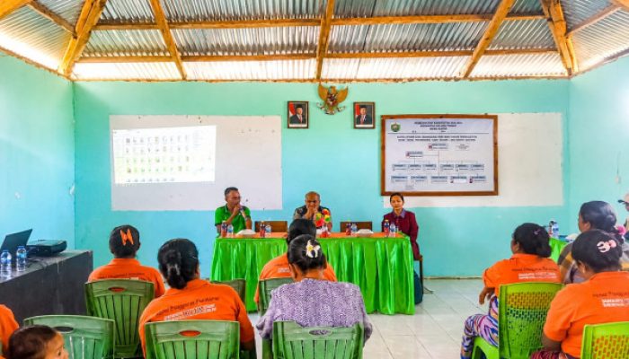 Kades Uabau Agustinus Tere: Kader Posyandu Garda Terdepan Membangun Kesehatan Masyarakat Desa