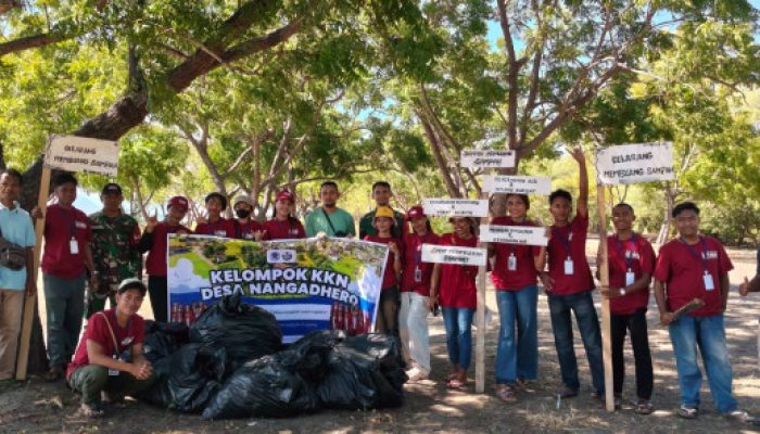 Sampah Mengancam Pesona Wisata Nangadhero, Mahasiswa KKN Universitas Muhamadiyah Turun Tangan Bersihkan Pantai Tanjung dan Kolam Air Panas