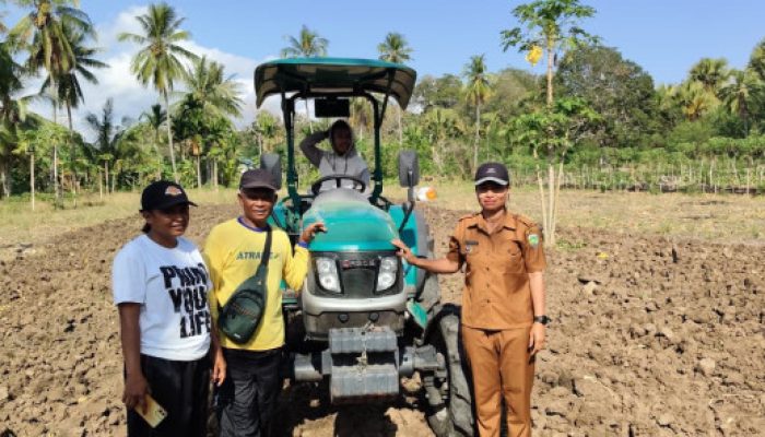 Apresiasi Program SBS-HMS, Kades Manumuti Silole: Kami Kawal dari Balik Tanah hingga Panen