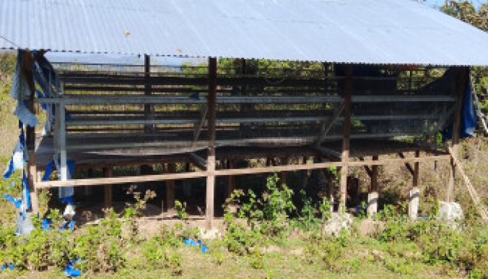 Kandang  Ayam BUMDes Renrua Terbengkalai, Anselmus Luan: SPJ Belum Rampung, Hak Aparat Desa Sejak Januari Belum Dibayar