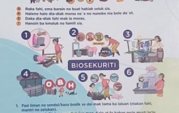 Carnaval Malaka Menggema, Dinas Peternakan NTT Angkat Alarm ASF