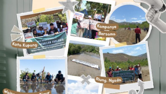 WALHI NTT Bongkar Krisis Ekologi: Jangan Wariskan Kerusakan kepada Generasi Mendatang