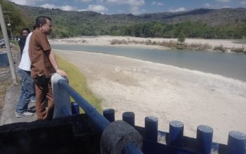 MT II Kurang Terkendala, Benny Chandradinata Imbau Petani Maksimalkan Air Irigasi Usai Tinjau Bendung Benenain