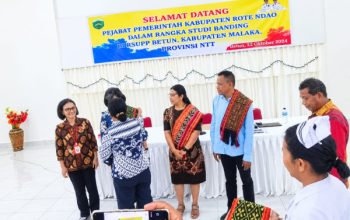 Kepemimpinan dr. Oktelin Kurniawati Kaswadie, RSUPP Betun Jadi Inspirasi Daerah Lain